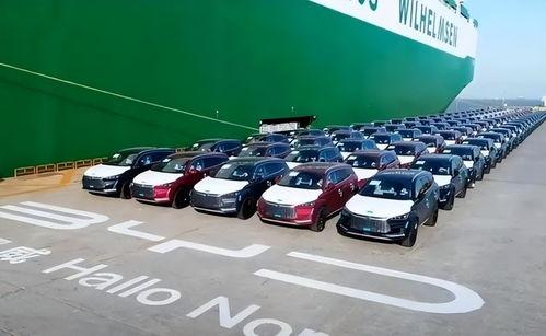 比亚迪刘工吃瓜,揭秘背后真相与网络舆论风暴