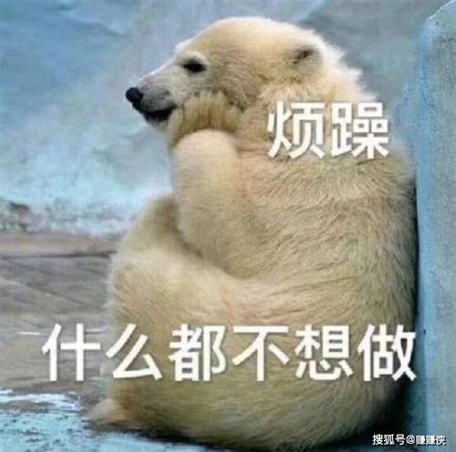 趴下吃瓜头像,揭秘网络潮流新风尚