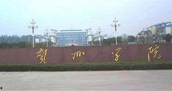 贺州学院老师吃瓜,揭秘校园八卦背后的真相