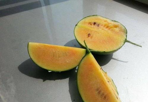 彩虹圈吃瓜,揭秘网络热点的甜蜜与苦涩