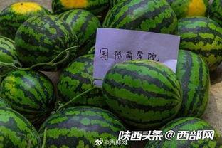 前排在线吃瓜,揭秘娱乐圈幕后风云