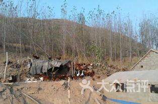 吃瓜沂水县,一场关于吃瓜的美食之旅