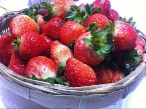 在家里喝茶吃瓜,居家品茗赏瓜，悠然自得时光