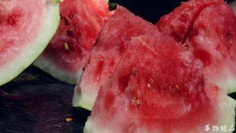 在家里喝茶吃瓜,居家品茗赏瓜，悠然自得时光