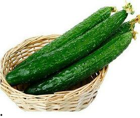 吃有营养的瓜,探寻健康美味的瓜类美食之旅