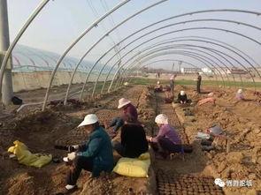 界首吃瓜事件照片,一场引发热议的网络狂欢