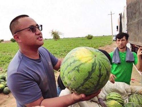 界首吃瓜事件照片,一场引发热议的网络狂欢