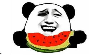 吃瓜的搞笑,那些让人捧腹的吃瓜瞬间