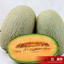 头像小孩吃哈密瓜,小天使品尝甜蜜哈密瓜