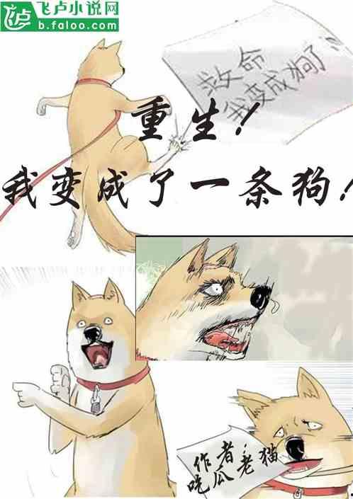 我躺平吃瓜小说,揭秘现代都市人的悠闲生活态度