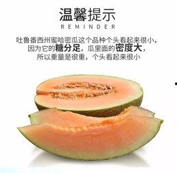 吃正宗哈密瓜,尽享新疆甜蜜滋味