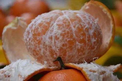 广西武鸣吃瓜,夏日炎炎，瓜果飘香，尽享田园美味