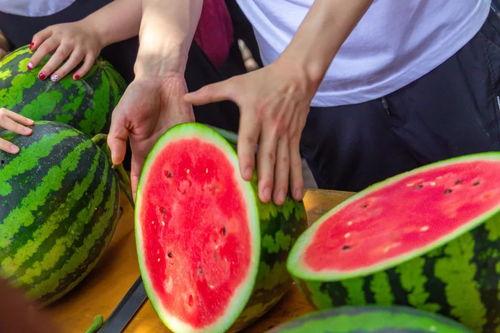 福建漳州大学吃瓜,吃瓜群众的味蕾盛宴