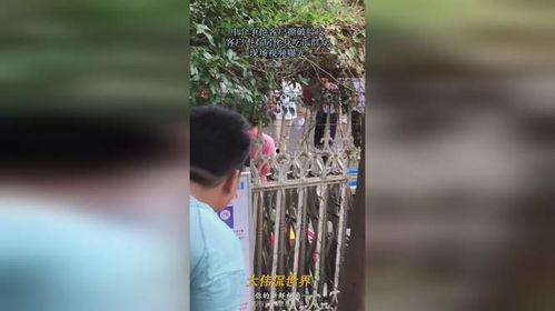 化身雷霆吃瓜视频,吃瓜视频带你领略电竞风采