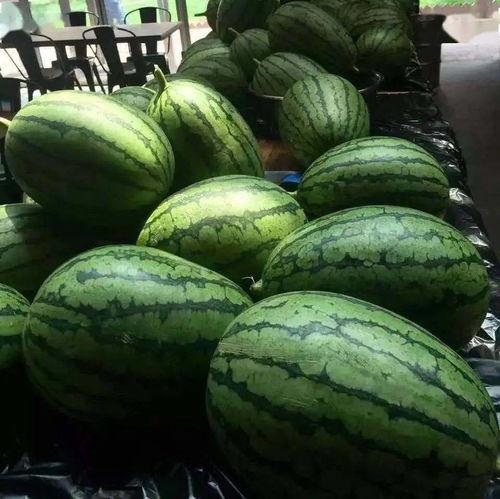 光叔吃瓜,揭秘娱乐圈幕后故事