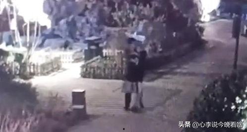 打架吃瓜视频配乐